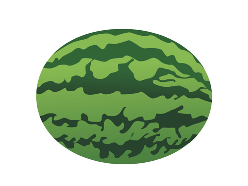 Cucumber